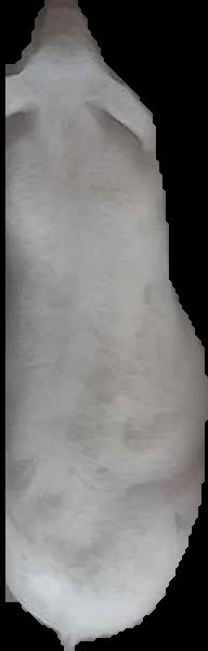 Crop