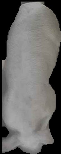 Crop