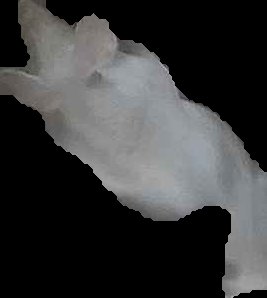 Crop