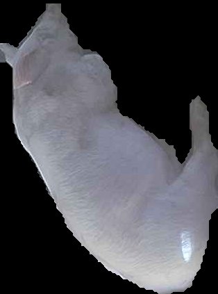 Crop