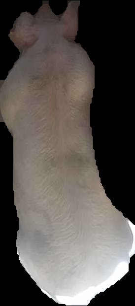 Crop