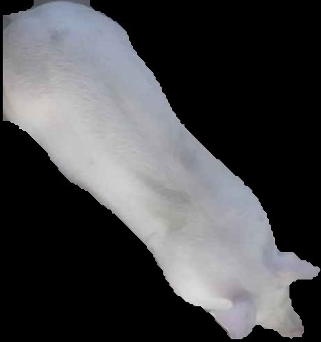 Crop