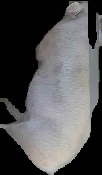 Crop