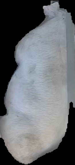 Crop