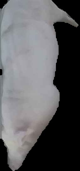 Crop
