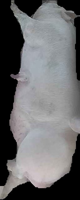 Crop