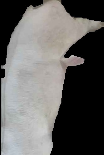 Crop