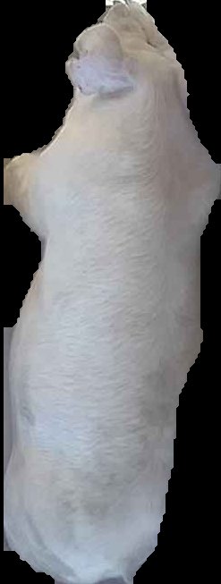 Crop