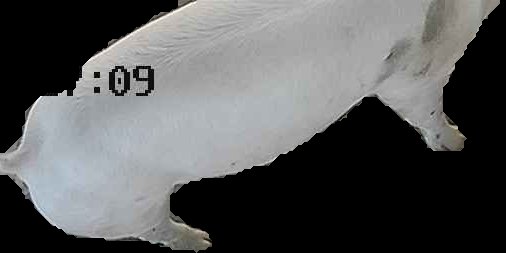 Crop