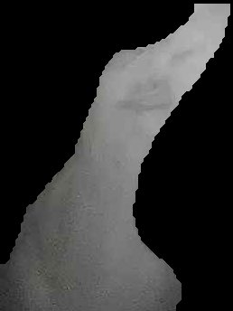 Crop