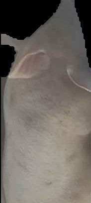 Crop