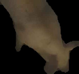 Crop