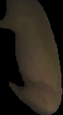 Crop