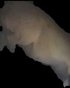 Crop