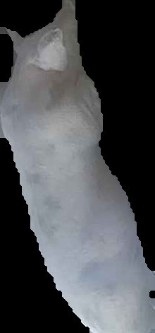 Crop