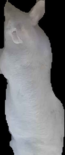 Crop