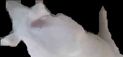 Crop