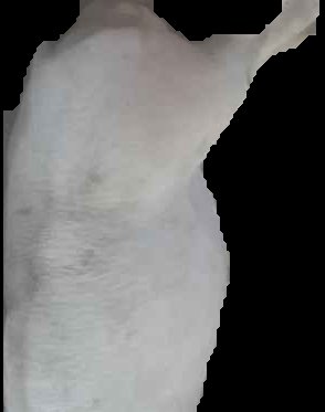 Crop