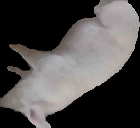 Crop