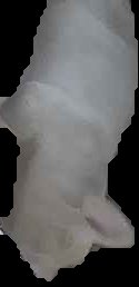 Crop