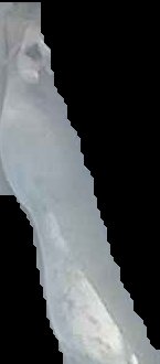 Crop
