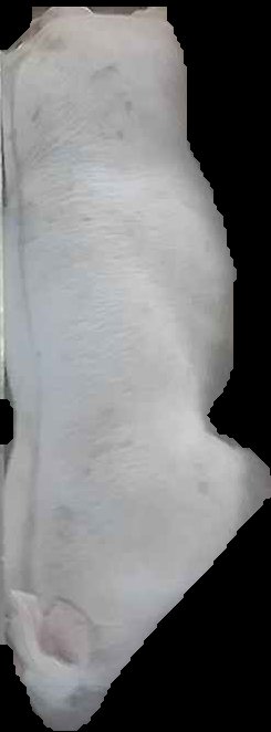 Crop