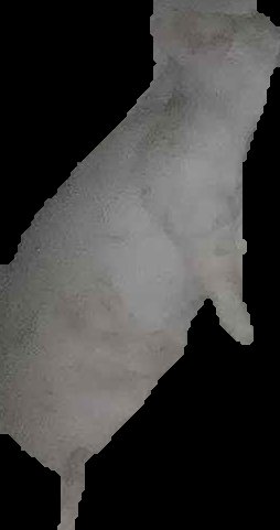 Crop