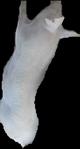 Crop