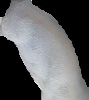 Crop