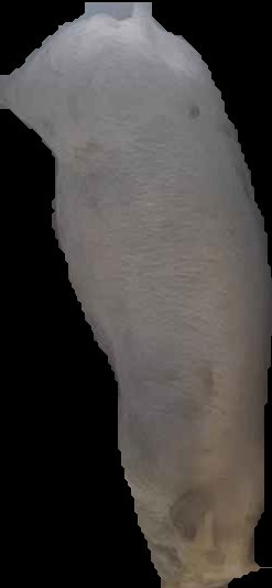 Crop