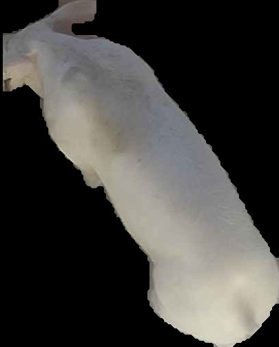 Crop