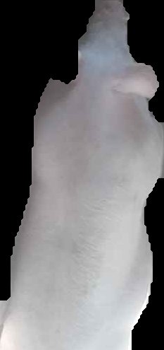 Crop
