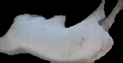 Crop
