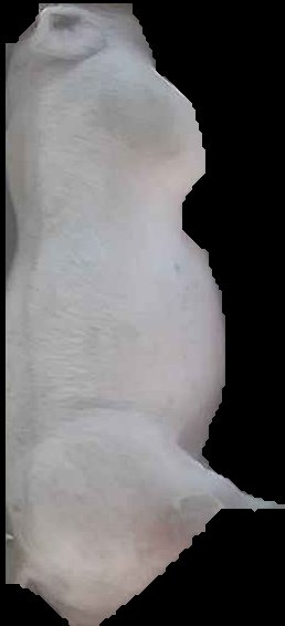Crop