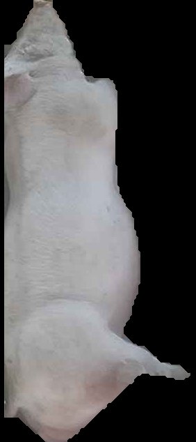 Crop