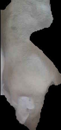 Crop
