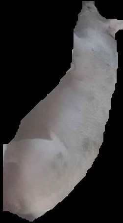 Crop