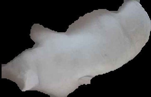 Crop