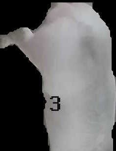 Crop