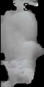 Crop