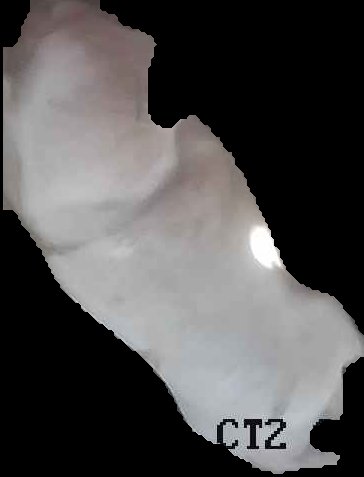 Crop