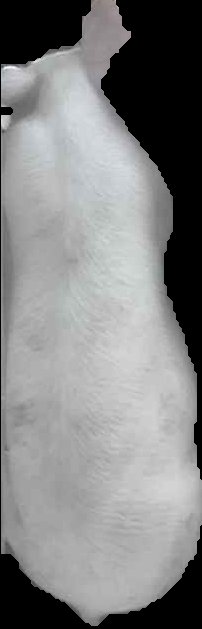 Crop