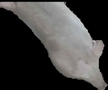 Crop