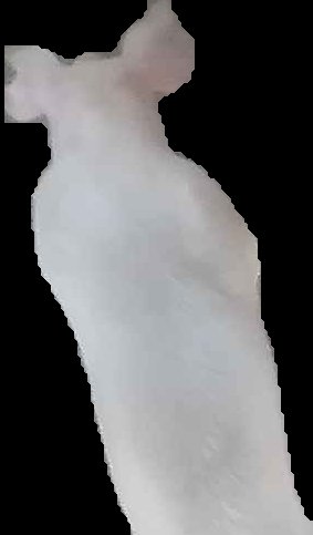 Crop