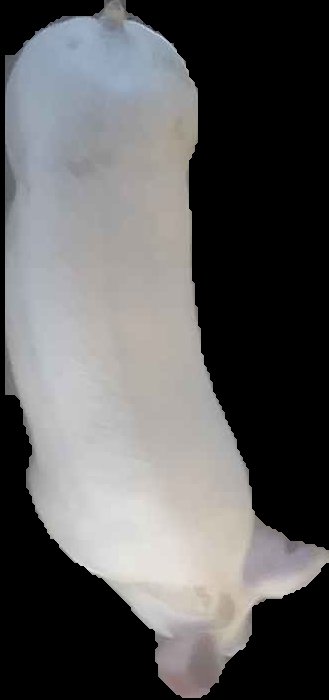 Crop