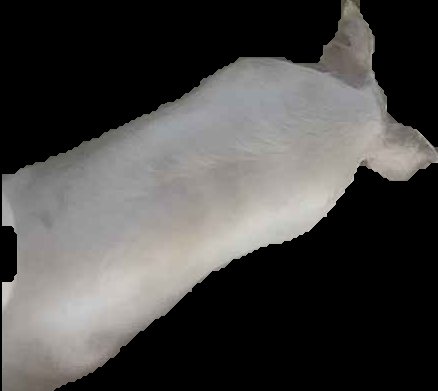Crop