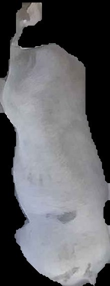 Crop