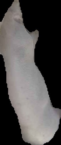 Crop