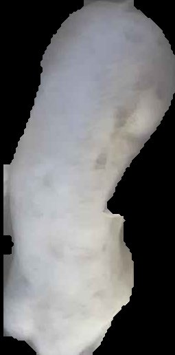 Crop