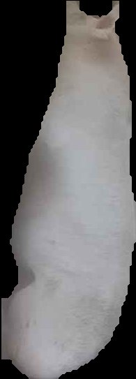 Crop